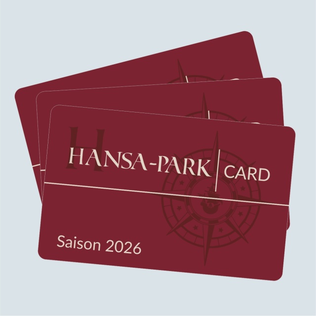 Darstellung von 3 HANSA-PARK-Saisonkarten aufgefächert